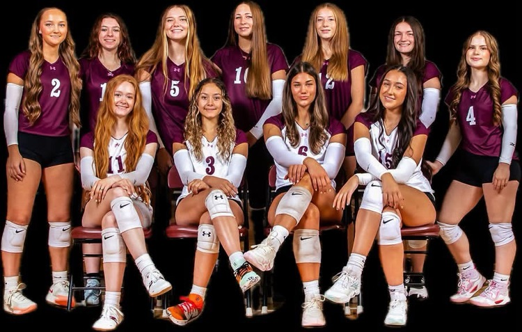 2026 Lion Volleyball