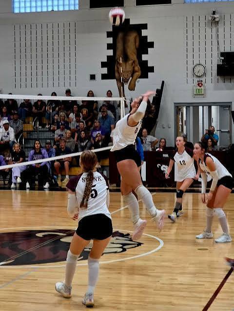 Swink Volleyball