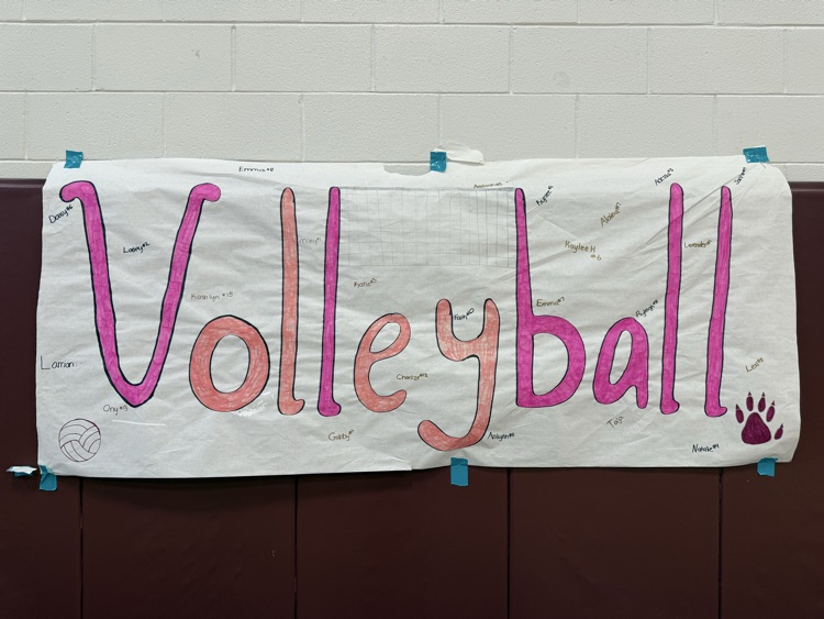 volleyball