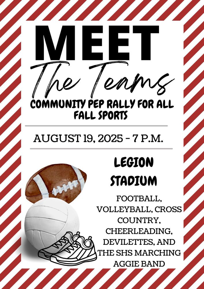 Meet The Teams