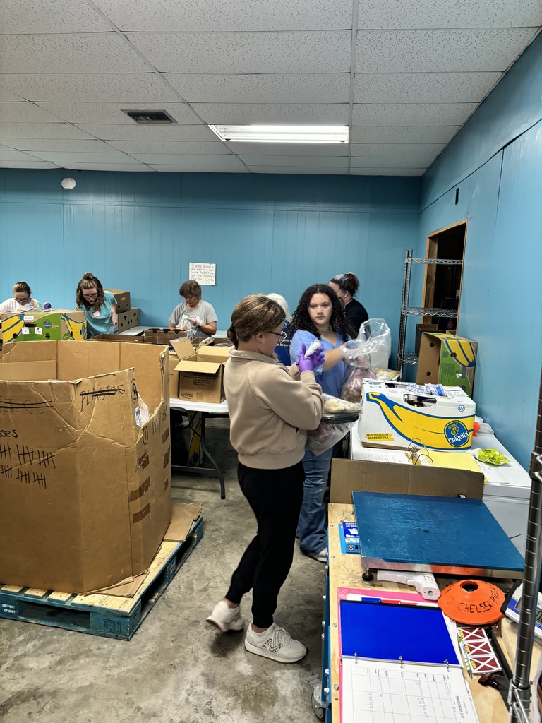 Peer Helpers