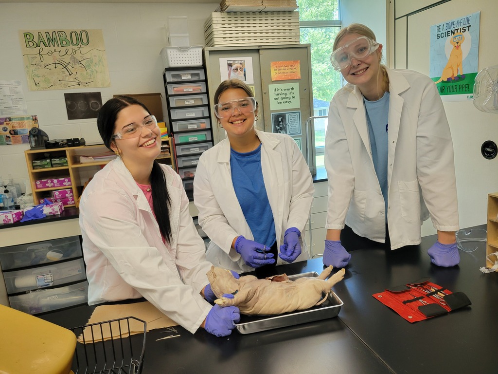 The group pauses during their dissection. 