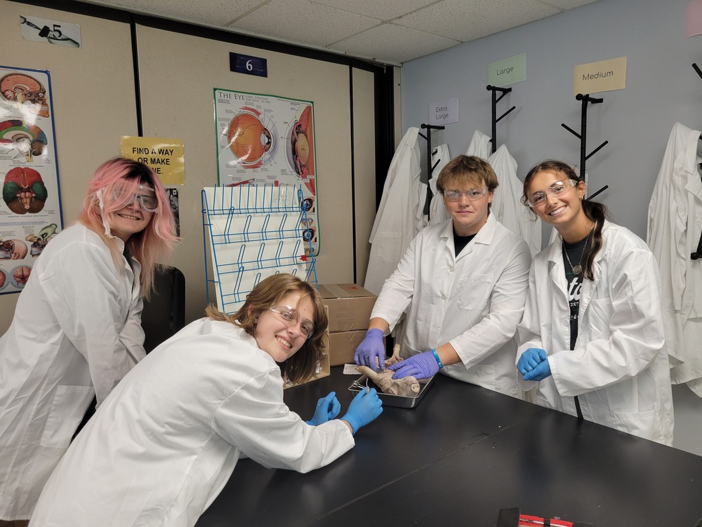 This group works to identify the trachea vs. esophagus. 