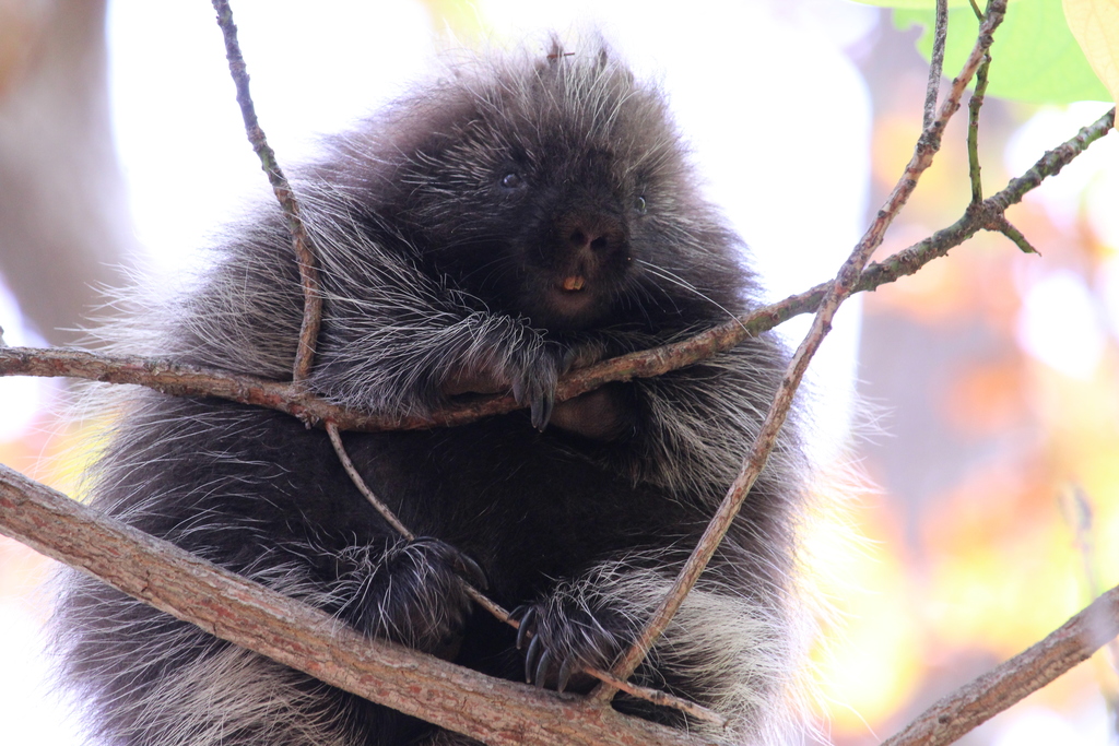 Senior Hiking Trip 4