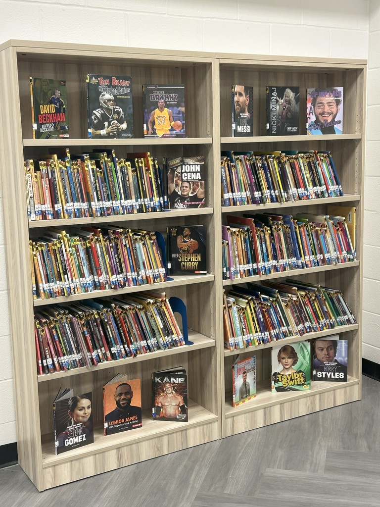 Book Shelf