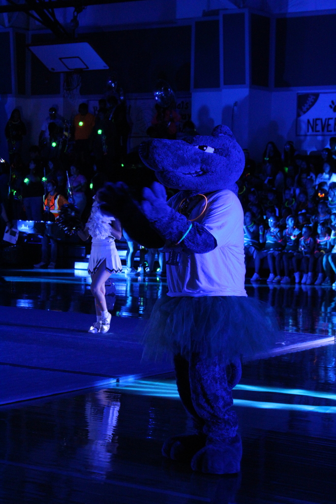 Greyhound Mascot