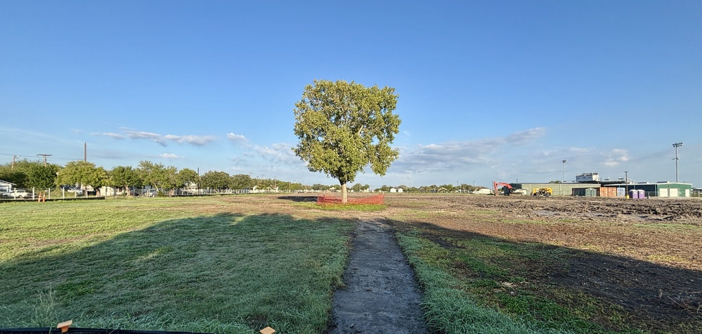 Cleared site