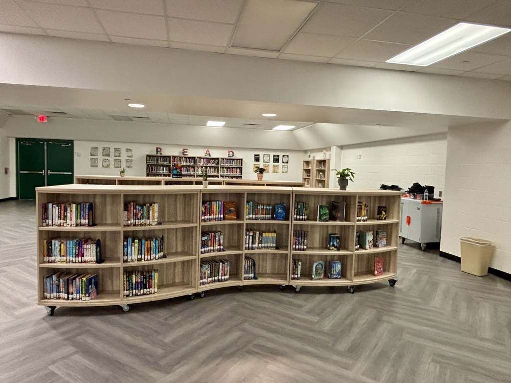 TJH Media Center Curved Bookshelves