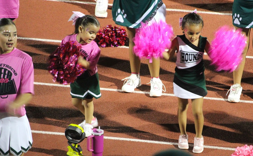 Little Cheer