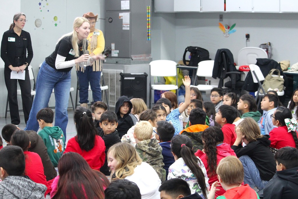 Solar farm question and answer