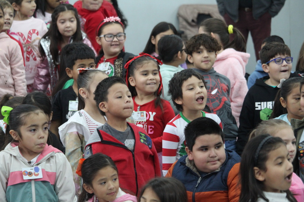 Excited to see the baby sheep