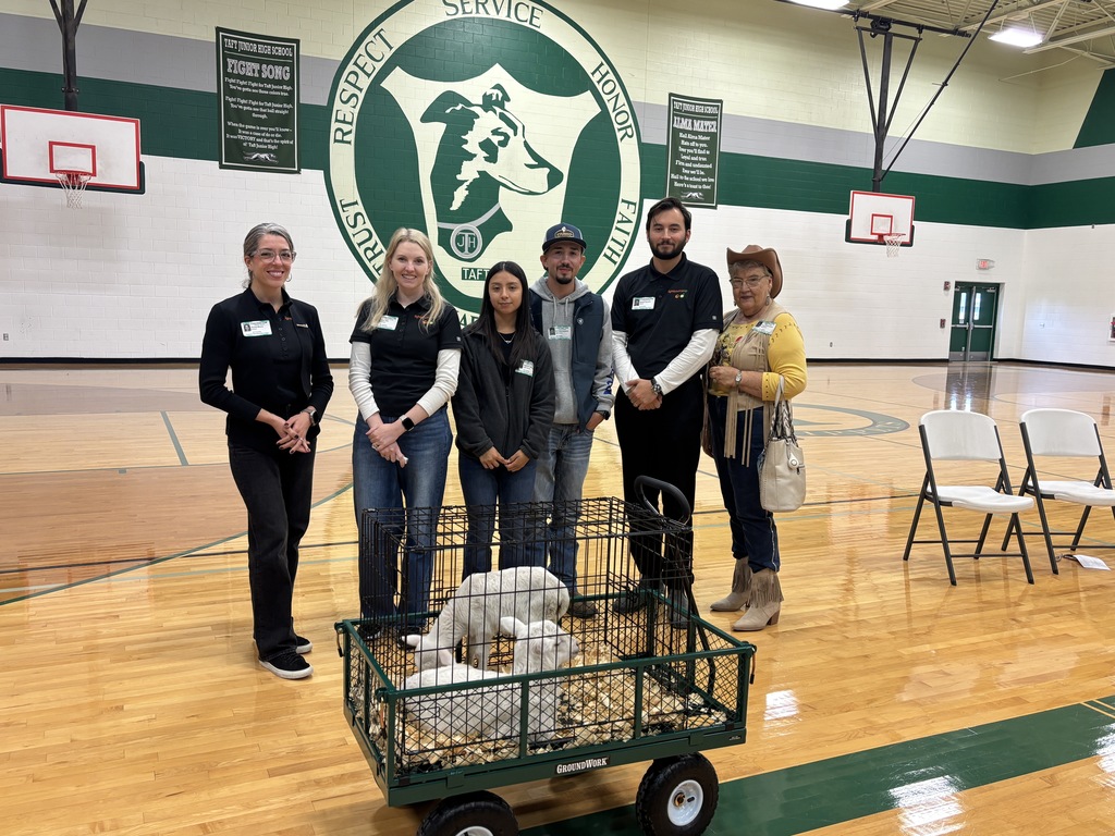 Lightsource bp presentations