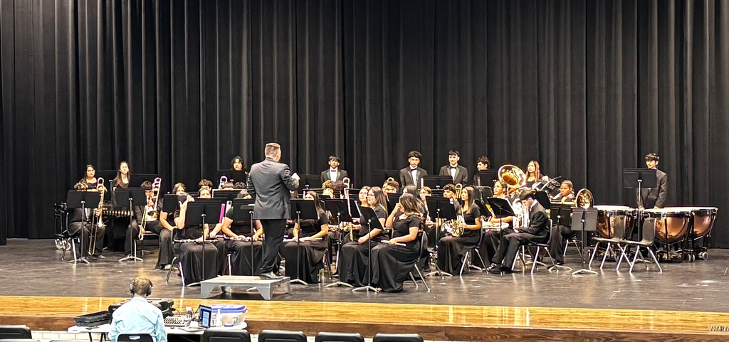 THS Band Earns Straight 1s