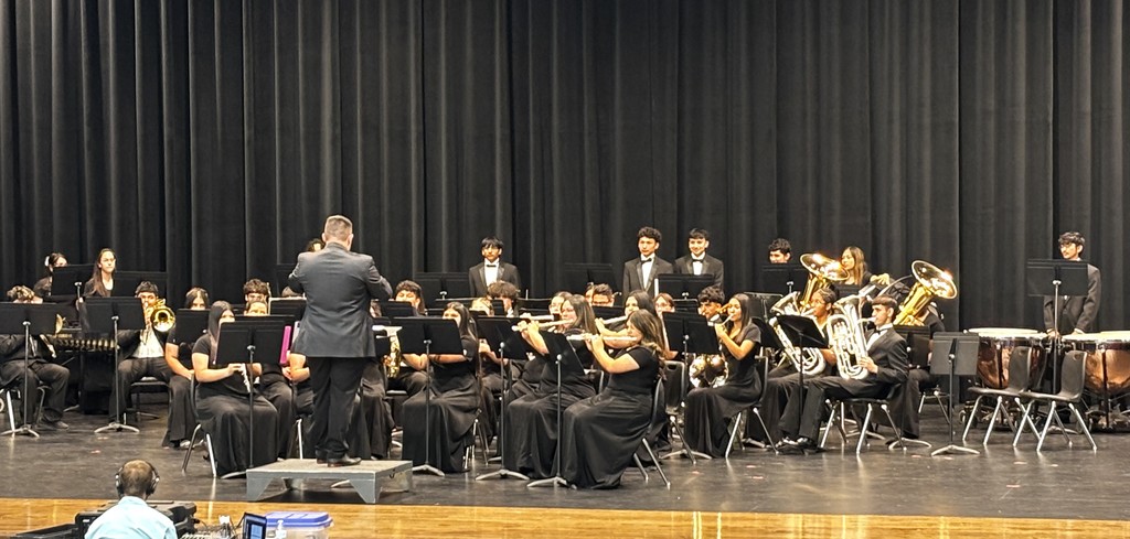 THS Band Earns Straight 1s