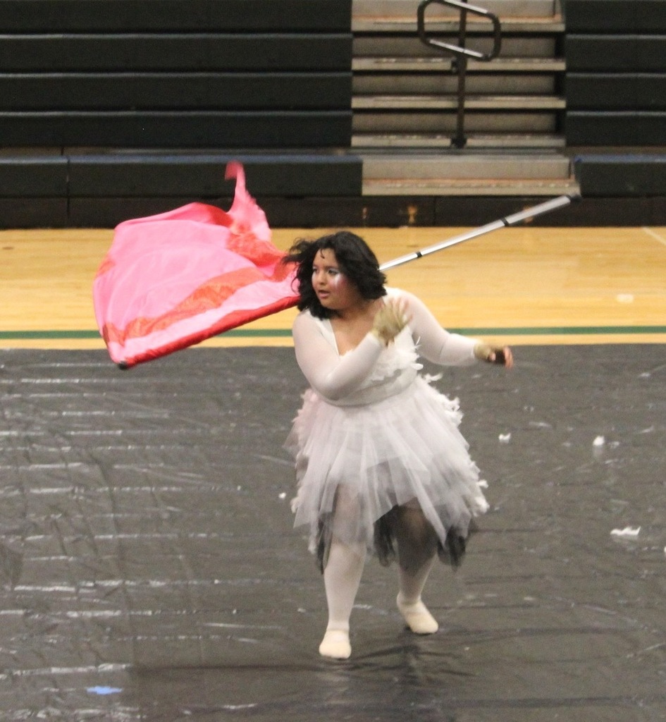 Winterguard Community Recital
