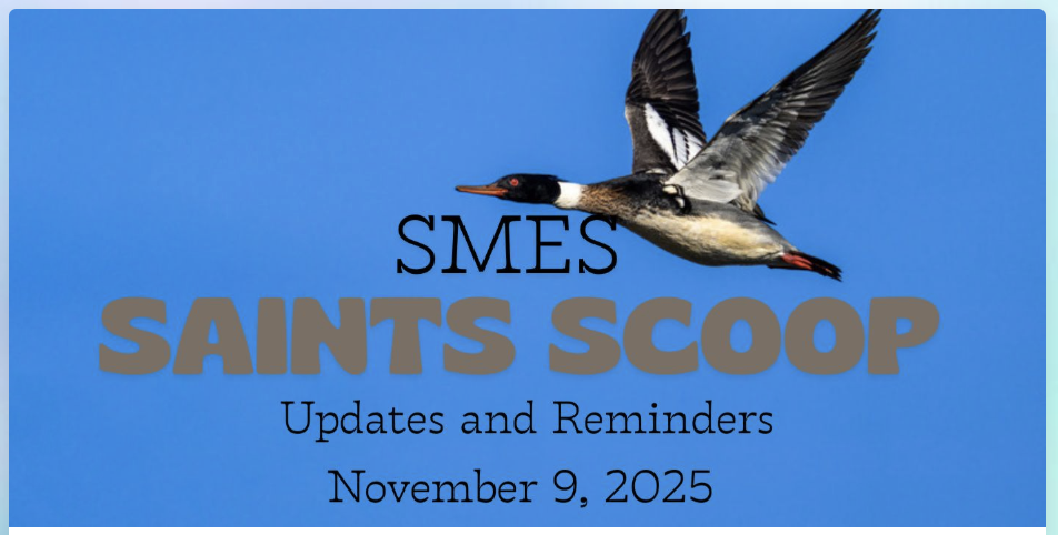 Screenshot 2025-11-09 at 10