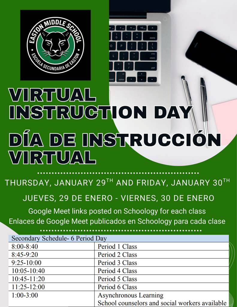 Virtual Instruction Day