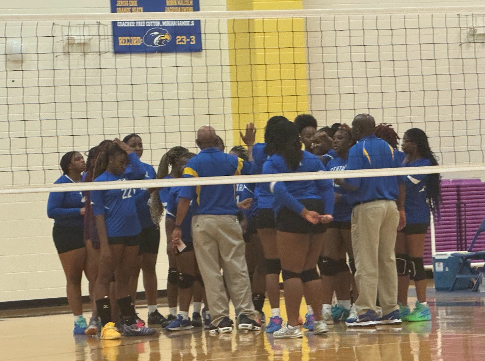 Lady Hawks