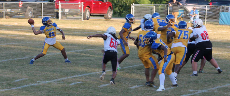Hawk Athletics 