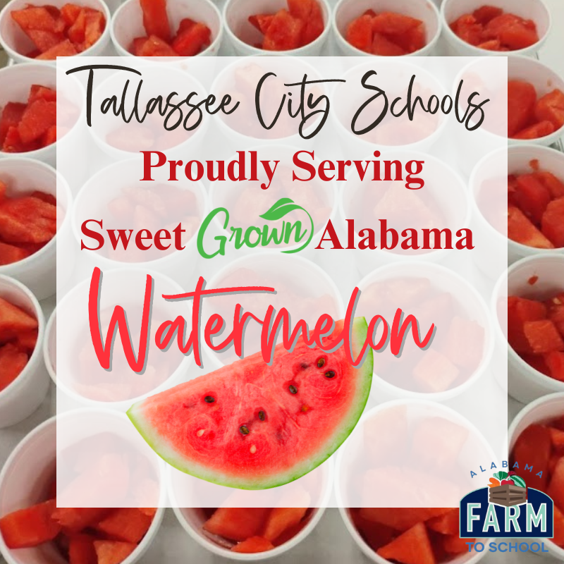 watermelon