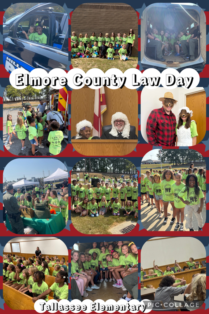 Law Day