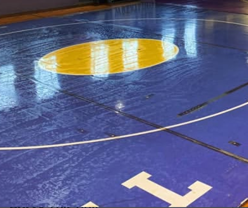 Wrestling Mat