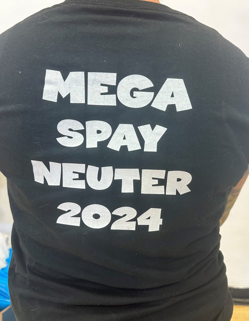 T-shirt logo