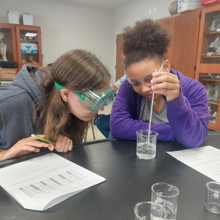 Chemistry Fun
