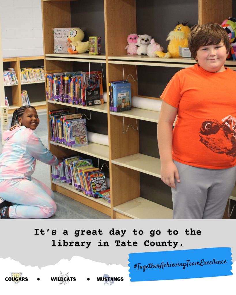3cES at Library