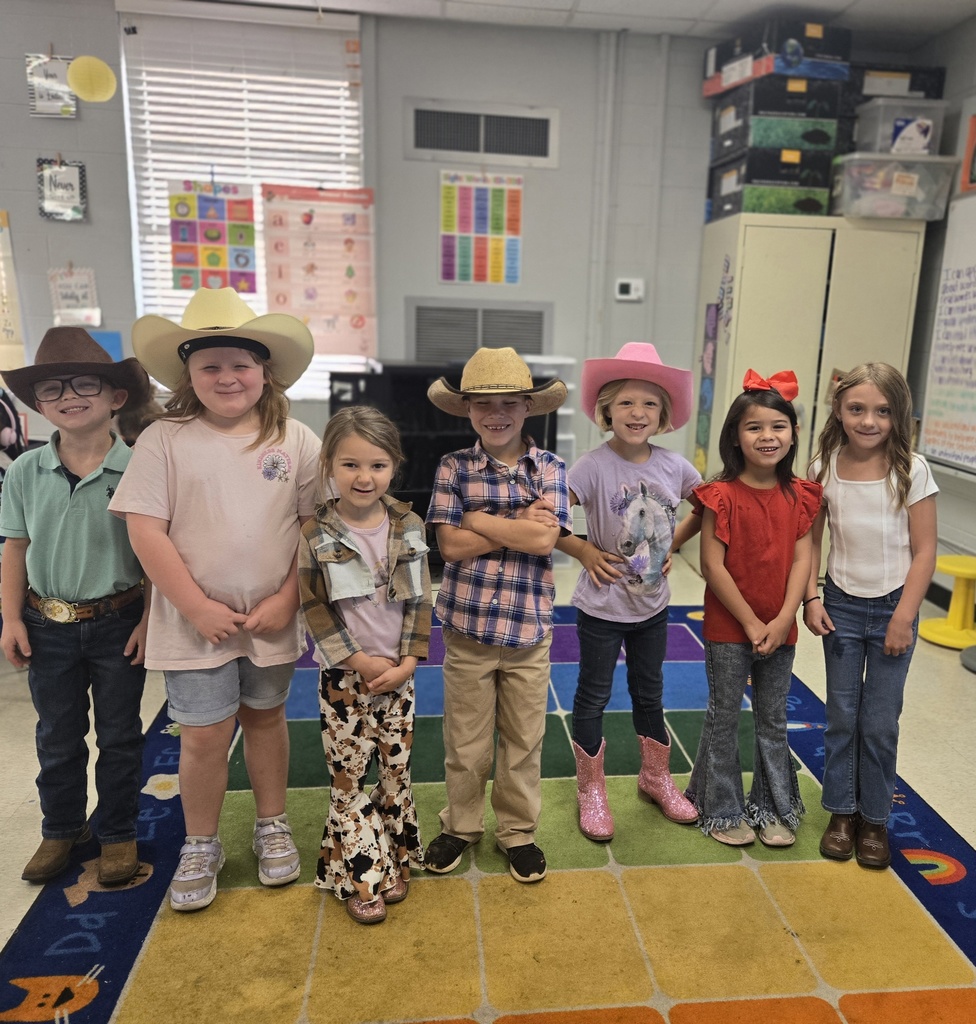 cowboy/cowgirl