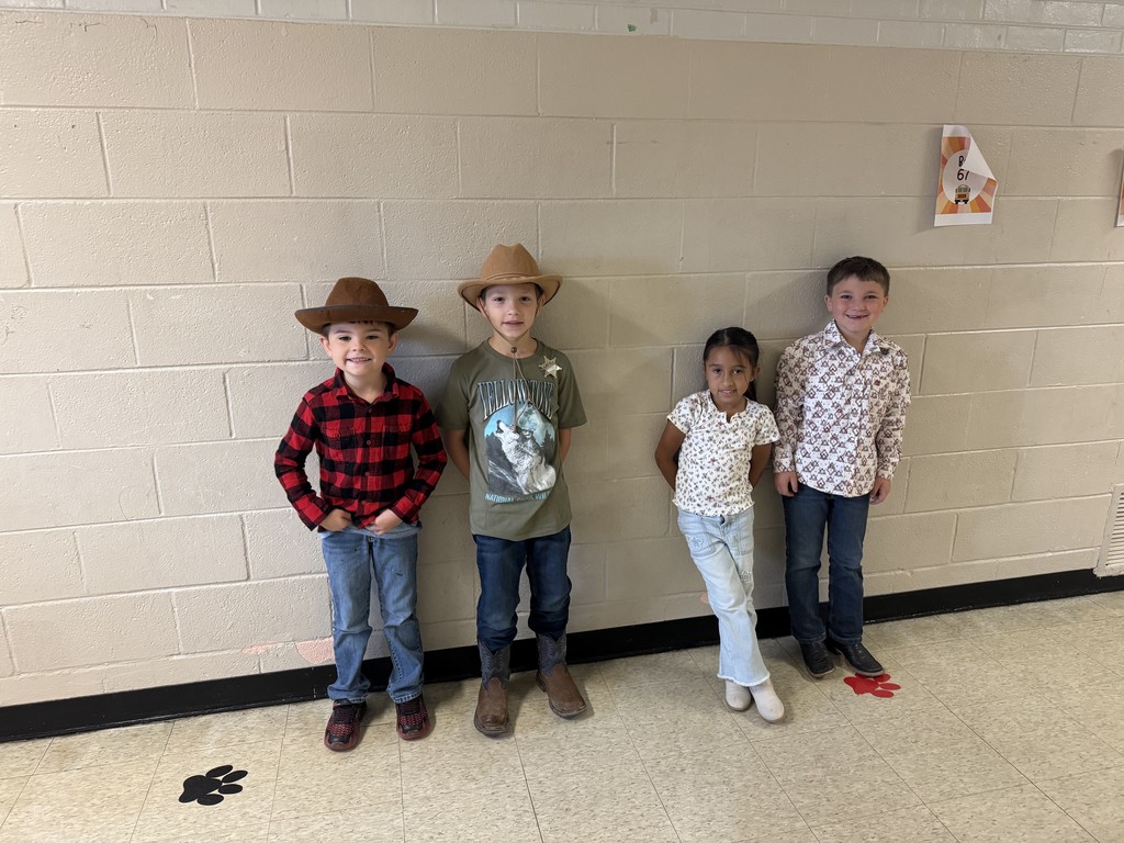 cowboy/cowgirl