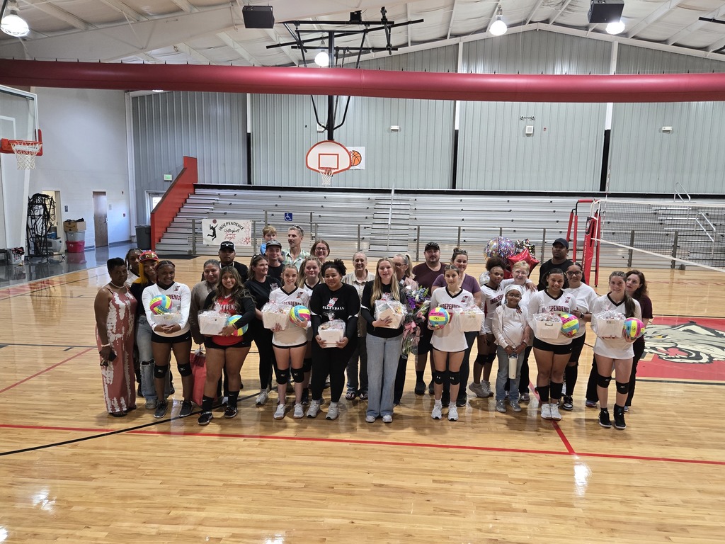 volleyball Seniors