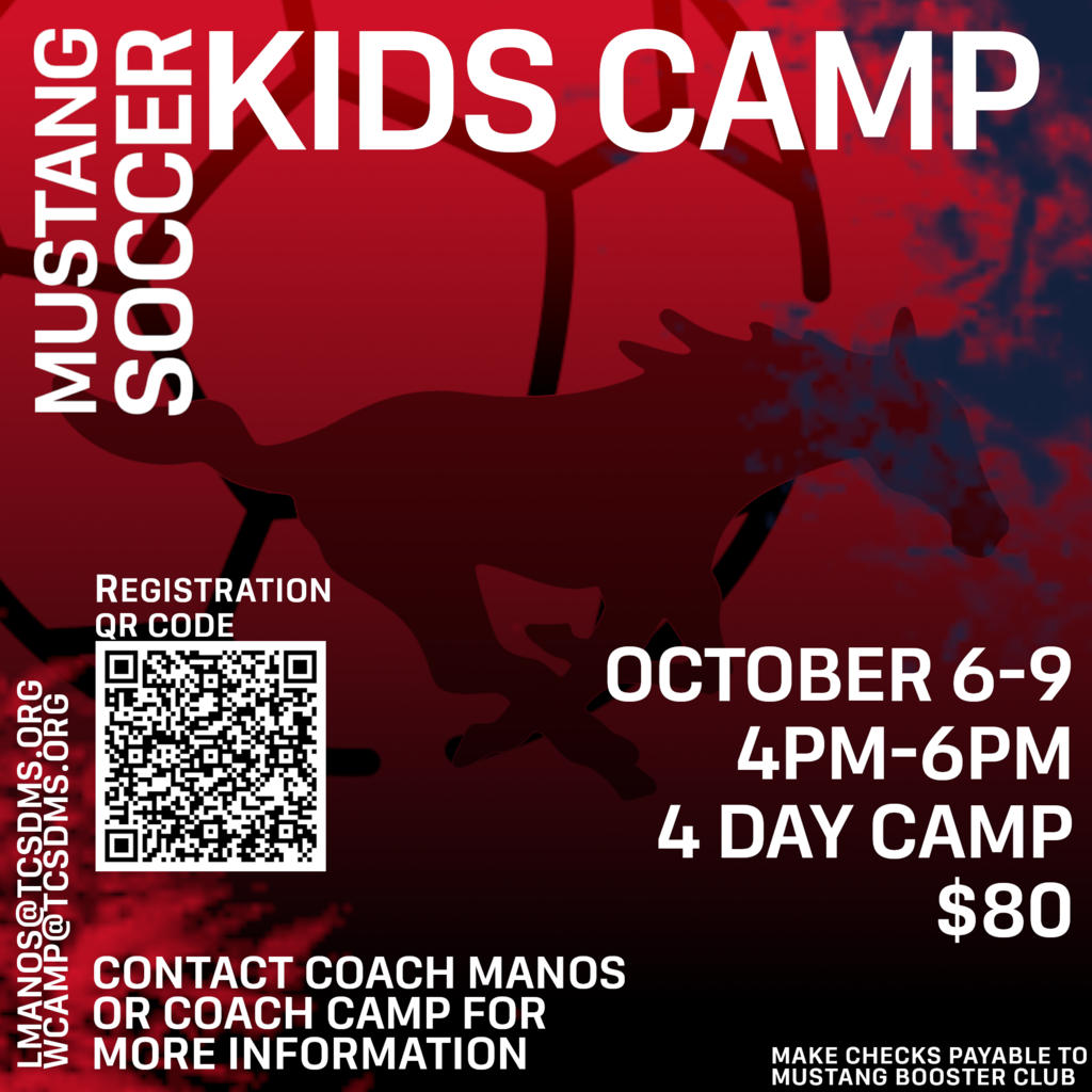 soccer ball and mustang