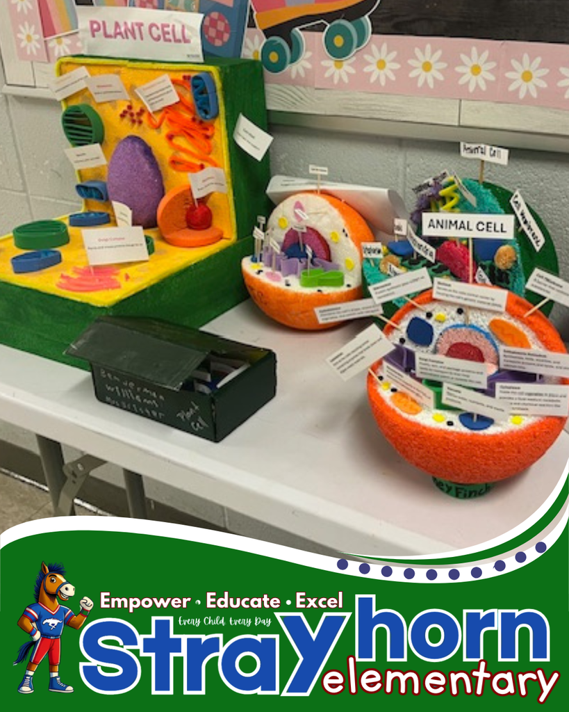 3D plant and animal cells 