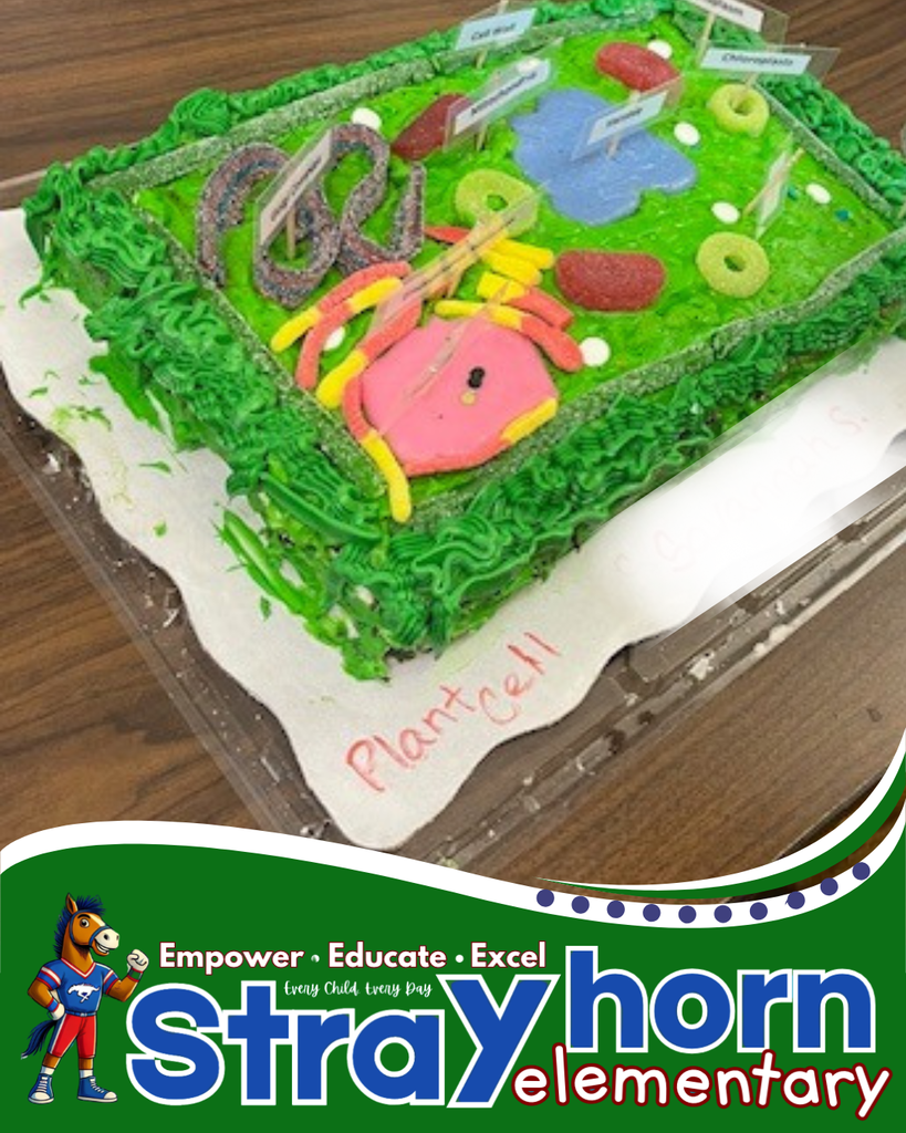 3D plant and animal cells 