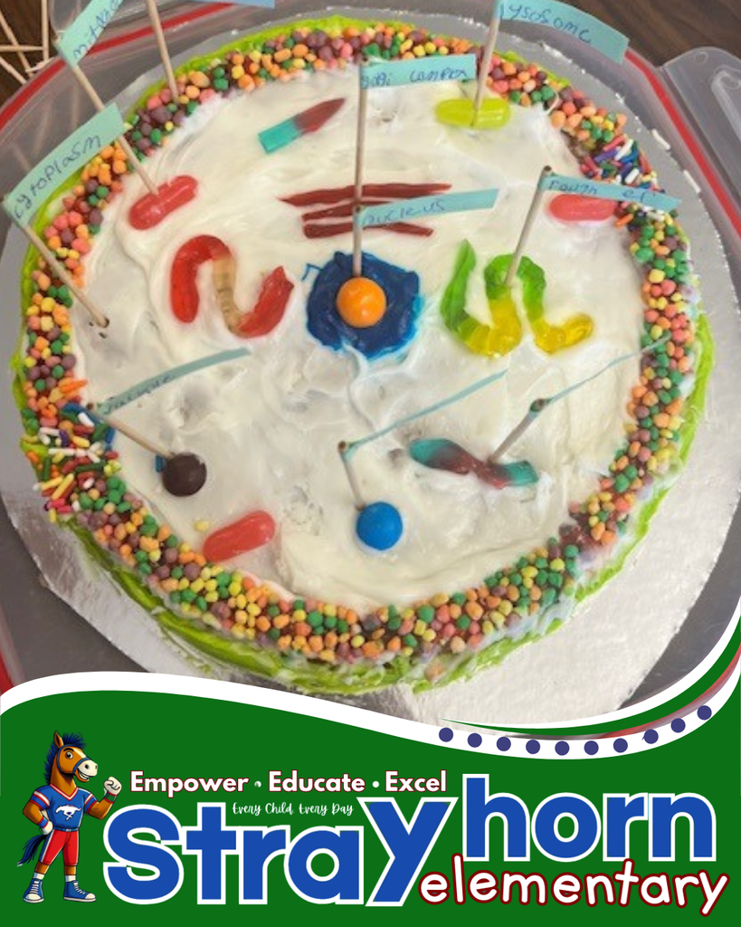 3D plant and animal cells 