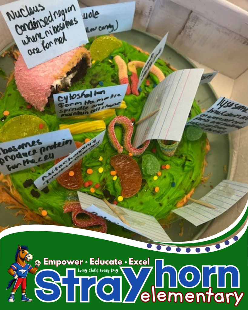 3D plant and animal cells 