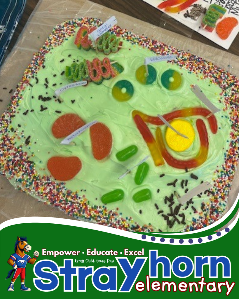 3D plant and animal cells 