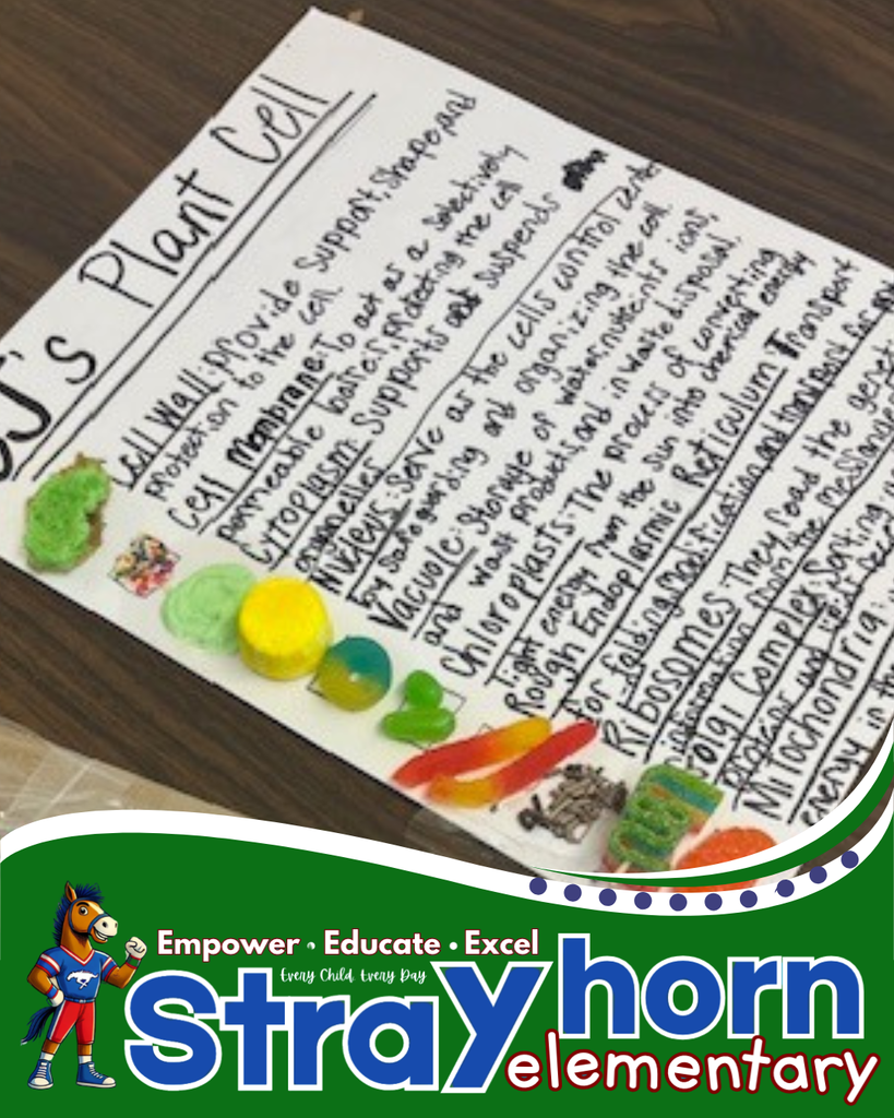 paper with candy pieces of cells