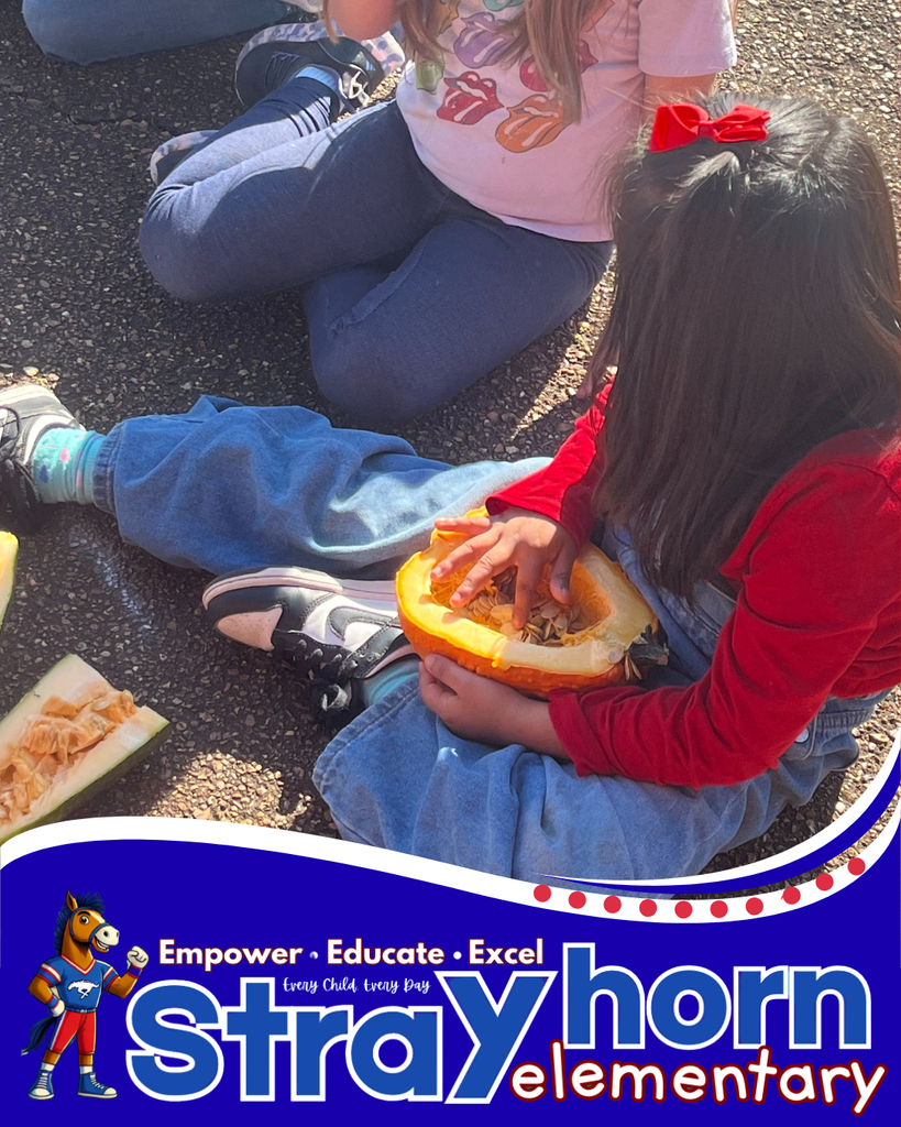 students with pumpkins and gourds