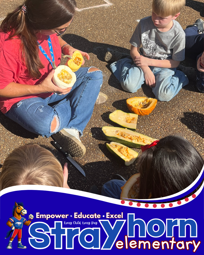 teacher and students with pumpkins and gourds