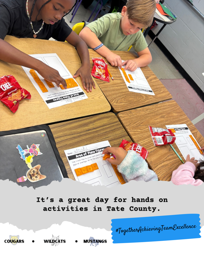 3rd grade math students