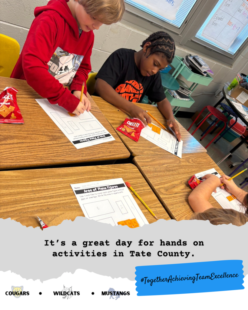 3rd grade math students