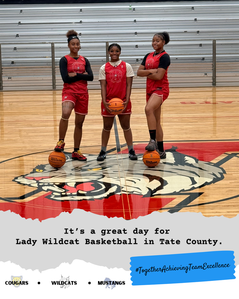 Lady Wildcat Basketball