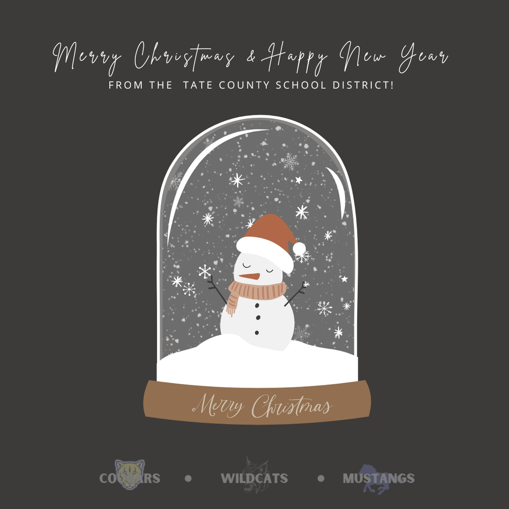 Elegant Vintage Snow Globe Business Christmas Animated Social Media Post