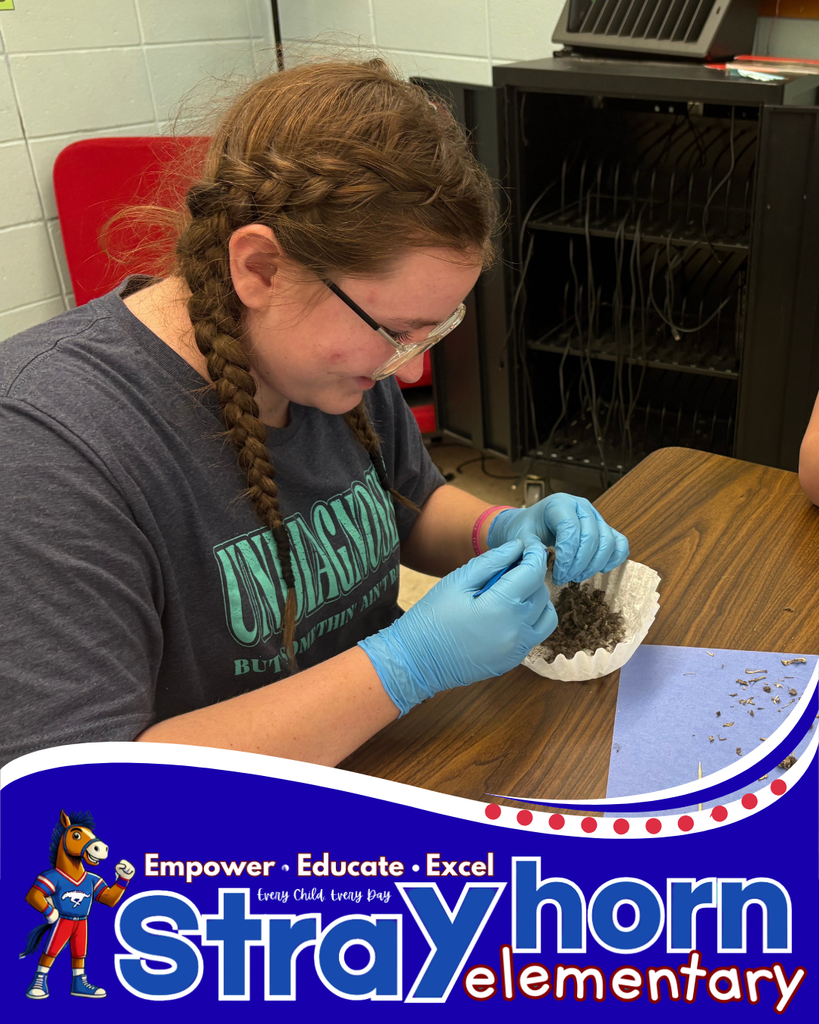 students with tweezers and gloves