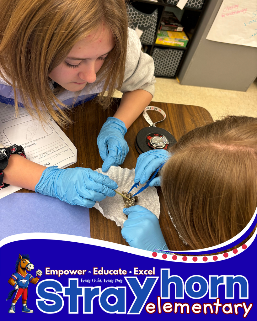 students with tweezers and gloves