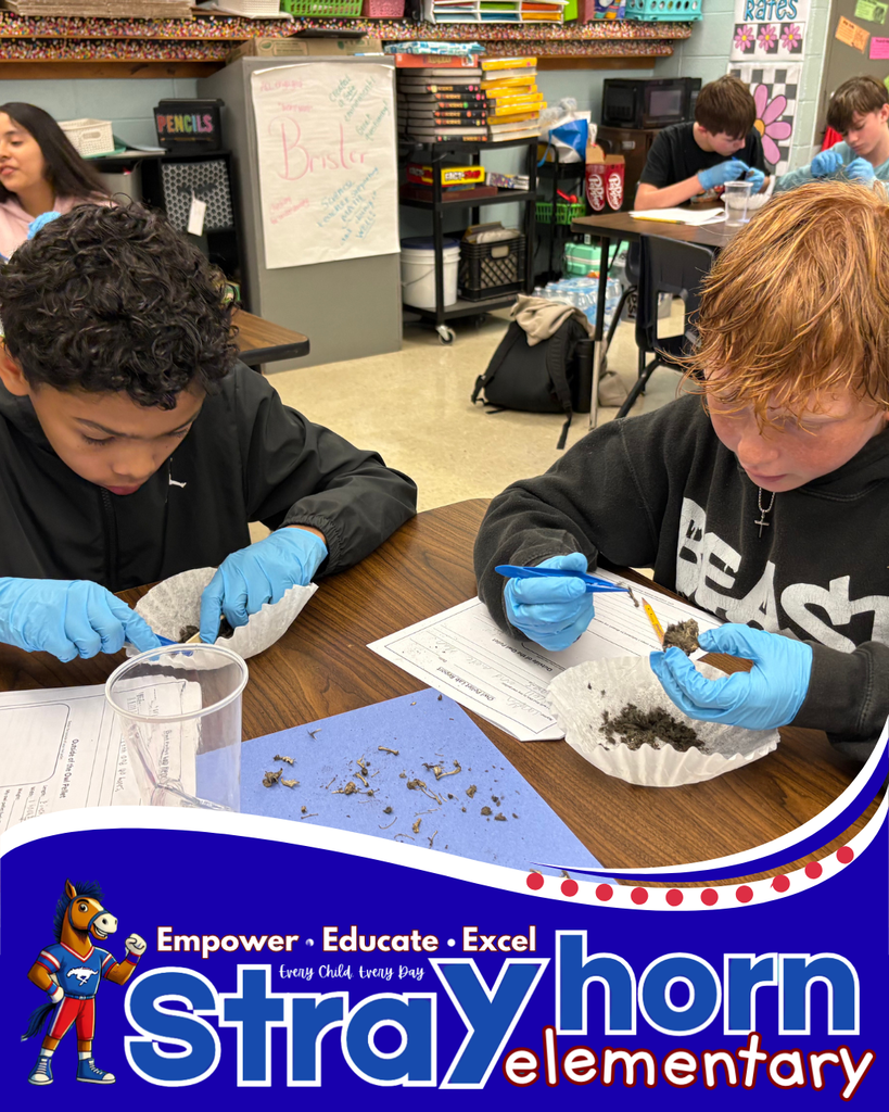 students with tweezers and gloves