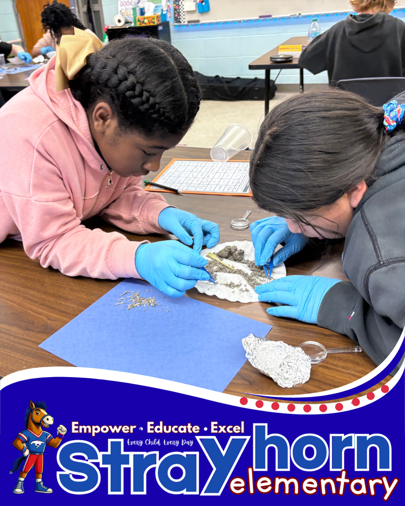 students with tweezers and gloves