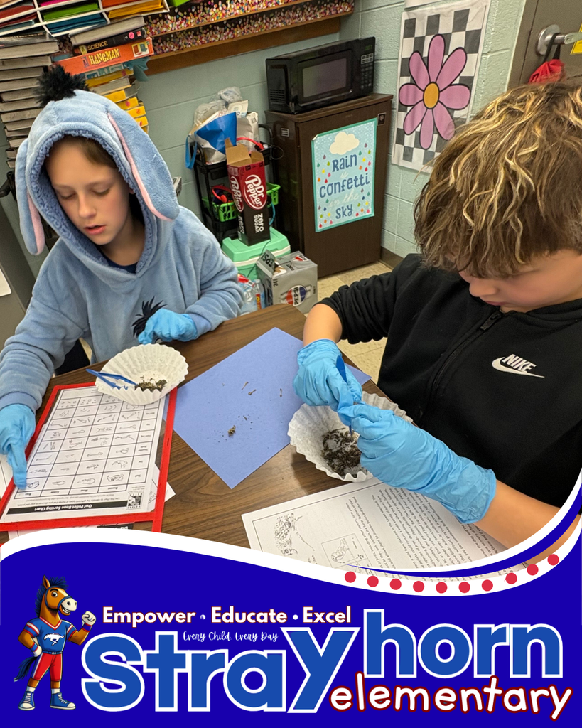 students with tweezers and gloves